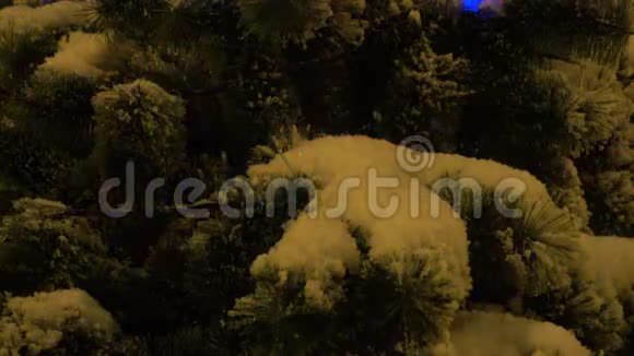 美丽的圣诞树上有多种颜色的花环视频的预览图