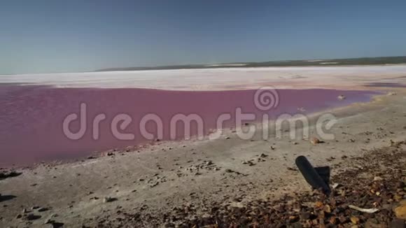 粉红盐湖视频的预览图
