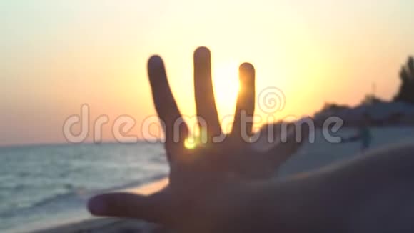 的手掌在海岸的夕阳下视频的预览图