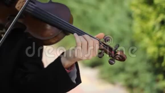 音乐家在公园里拉小提琴视频的预览图