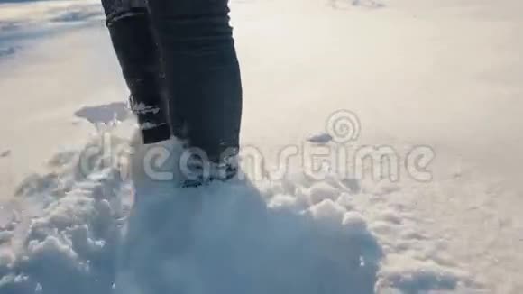 女孩在雪地里散步视频的预览图