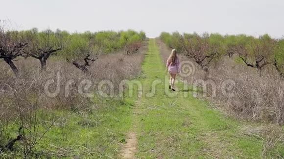 穿着粉红色裙子的金发女人在盛开的花园里奔跑有树视频的预览图