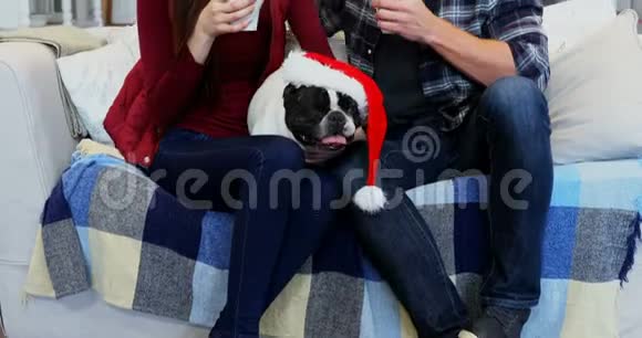 快乐的一对夫妇和带圣诞老人帽子的小狗喝咖啡4k视频的预览图