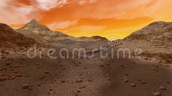 沙漠中的动画视频的预览图