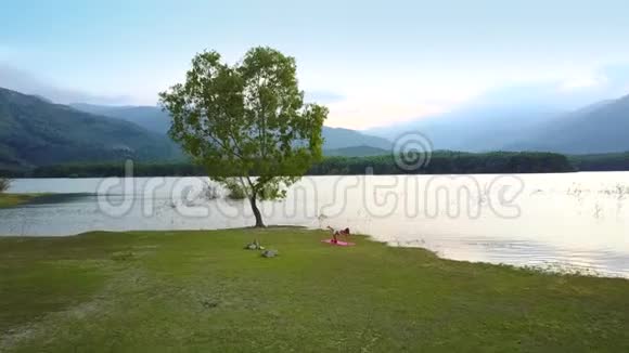 奇妙的鸟瞰湖边的孤树和附近的女孩身影视频的预览图