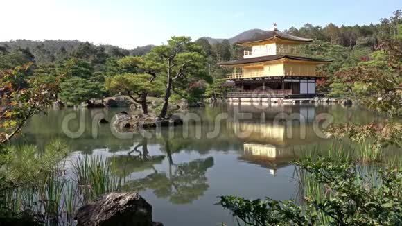 日本京都金阁寺视频的预览图