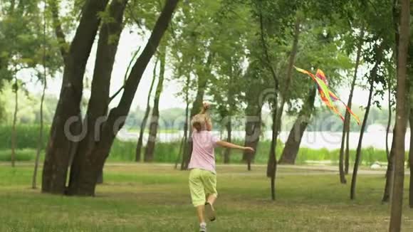 快乐的孩子在公园里放风筝健康与自然和谐生活价值观视频的预览图