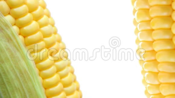 玉米在孤立的白色上旋转视频的预览图