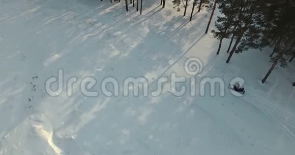 乘雪车冒险的游客乘坐森林覆盖的冬季仙境视频的预览图