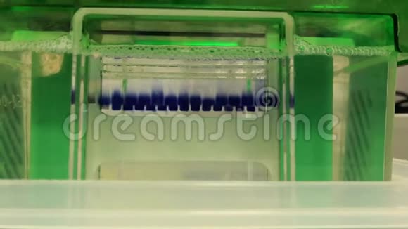 聚丙烯酰胺凝胶电泳15车道充满蛋白质视频的预览图