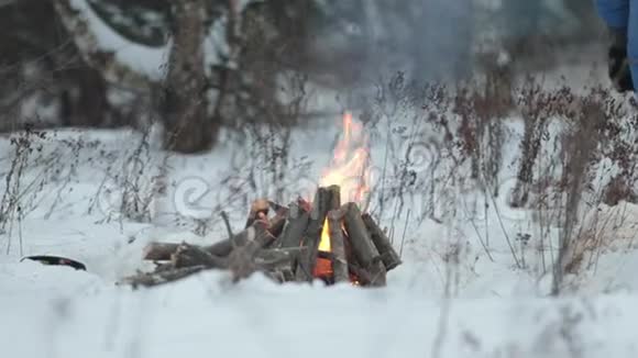冬季森林一家人燃起篝火视频的预览图
