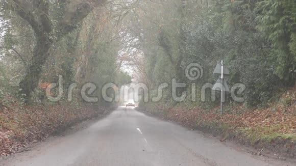 林中的道路视频的预览图