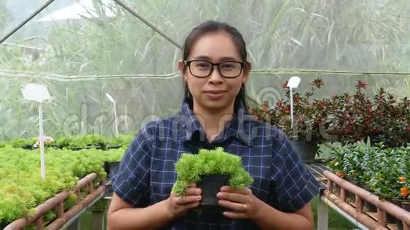 园丁年轻的女人在温室的一个苗圃手里拿着一壶种苗出售视频的预览图