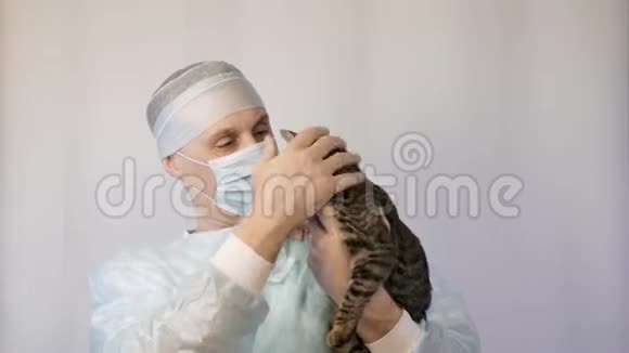 兽医抚摸小猫他在手术前检查它视频的预览图