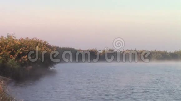 晨雾中的钓鱼湖视频的预览图