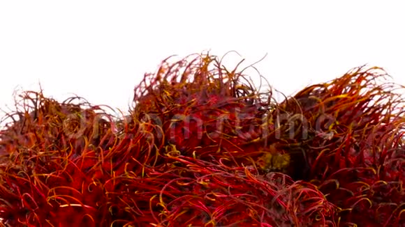 红色拉布坦水果堆上部的宏观拍摄在转盘上慢慢旋转隔离在视频的预览图