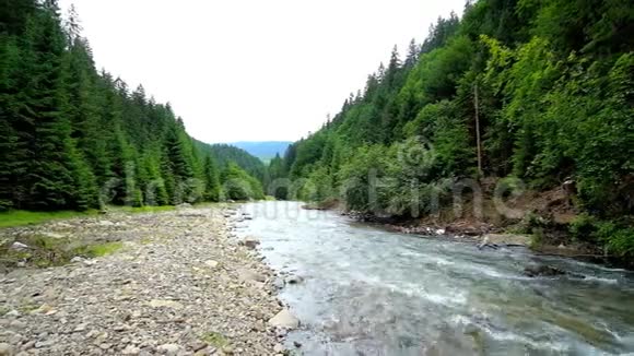 乌克兰喀尔巴阡山脉的特雷布里亚河视频的预览图