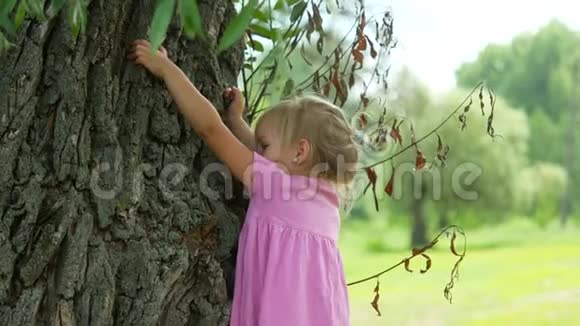 4K儿童在公园户外玩爬树小女孩肖像视频的预览图