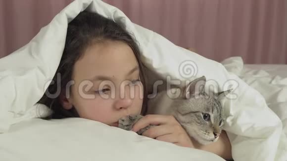 快乐少女亲吻与泰国猫在床上交谈库存视频视频的预览图