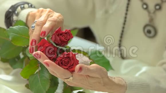 豪华玫瑰在修剪的手慢动作视频的预览图