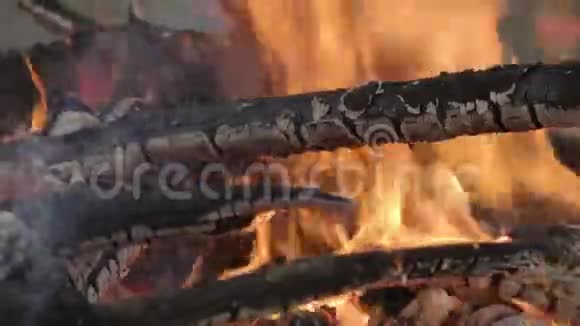 篝火中燃烧的原木夏日傍晚的特写镜头视频的预览图