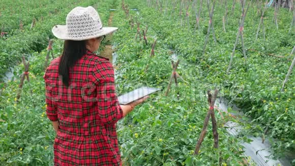 亚洲园丁妇女在农业中使用现代技术视频的预览图