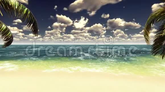 热带岛屿上的棕榈树碧海蓝天阳光明媚的海滩夏天的场景可循环视频的预览图