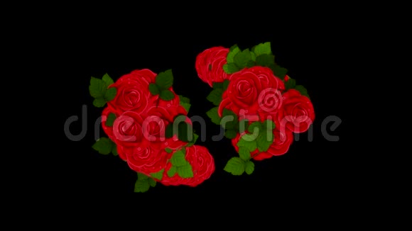 红玫瑰和树叶动画背景爆炸包括阿尔法频道视频的预览图