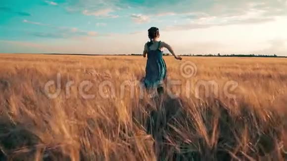 女孩拿着小麦跑过田野视频的预览图
