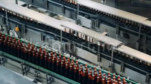 装满啤酒的玻璃瓶正沿着工厂的运输工具移动视频的预览图