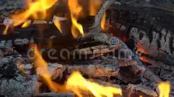 火中的火焰和煤视频的预览图
