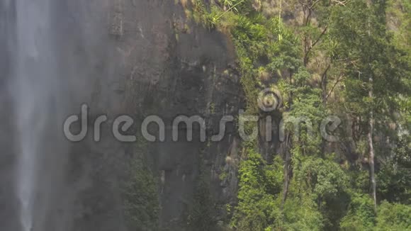 岩石悬崖上的瀑布绿树和草慢慢视频的预览图