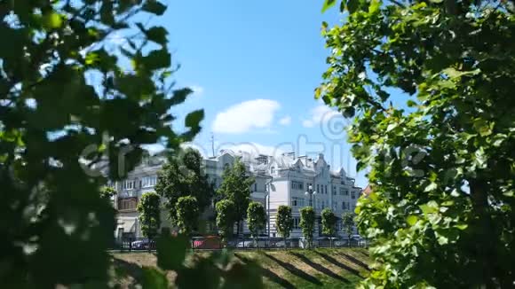 在夏季的背景下用Chernoyarovsky通道近距离观看绿叶库存录像喀山市视频的预览图