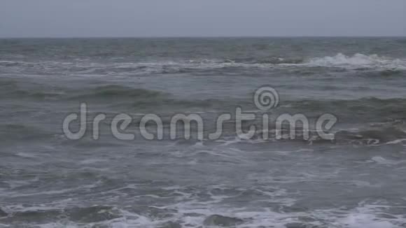 海上风暴视频的预览图
