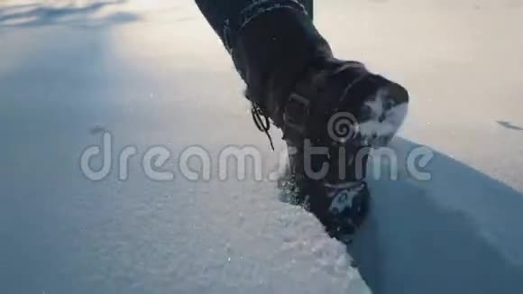 女孩在雪地里散步视频的预览图