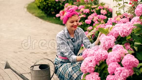 一个女人在乡下的房子里关心粉红色的花爱护花朵的观念令人难以置信的美丽的粉红色花蕾视频的预览图