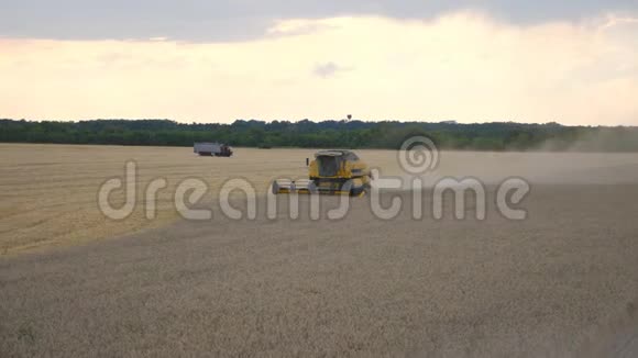 结合农村成熟小麦的集种收割者慢慢地穿过田野割下大麦的茎视频的预览图