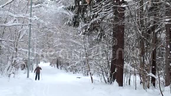 冬季公园里的滑雪者视频的预览图