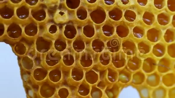 蜂蜜蜂蜜视频的预览图