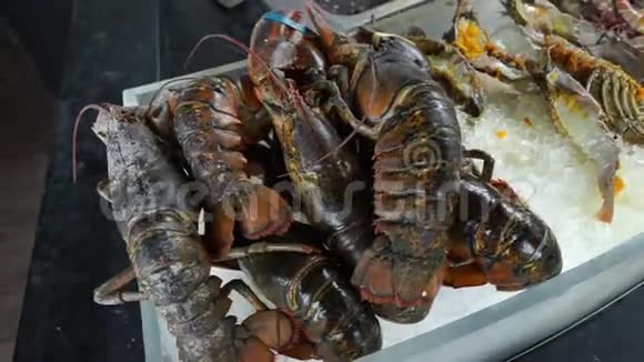 鱼市的各种海鲜龙虾螳螂虾章鱼和螃蟹视频的预览图