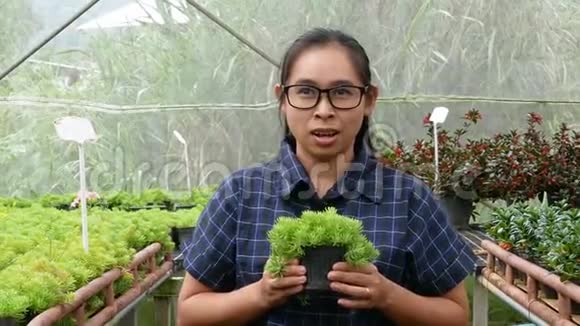 园丁年轻的女人在温室的一个苗圃手里拿着一壶种苗出售视频的预览图