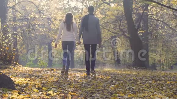 大学生下课后在公园散步浪漫的关系视频的预览图