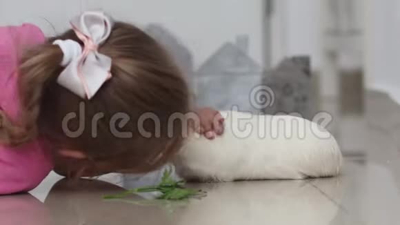 小女孩和她的宠物鱼子酱玩视频的预览图