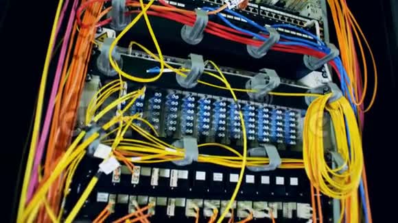 插入计算机服务器插槽的多色电线视频的预览图