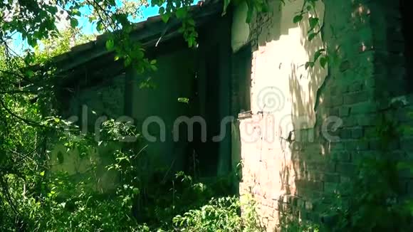 旧废弃房屋前门视频的预览图