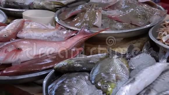 海鲜市场出售的新鲜生鱼视频的预览图