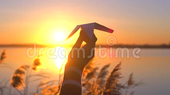 日落时水湖景观背景下女子手执纸飞机剪影户外避暑自然视频的预览图