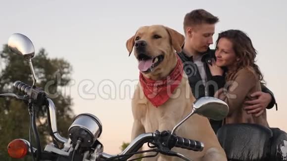 一只狗坐在摩托车上看着远处视频的预览图