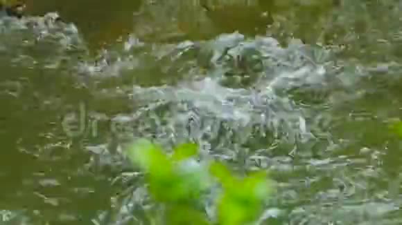 一条快速的泡沫河流在门槛上产生泡沫视频的预览图