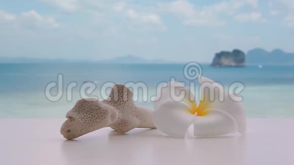 有珊瑚石的梅花视频的预览图